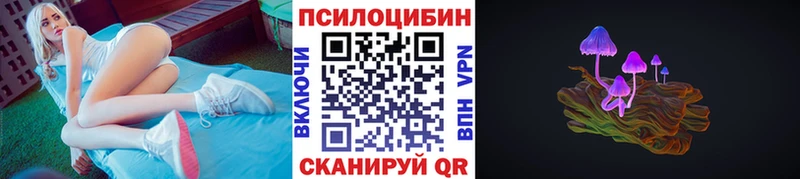 где можно купить наркотик  Новомосковск  Галлюциногенные грибы мухоморы 