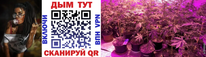 купить наркоту  Новомосковск  МАРИХУАНА LSD WEED 